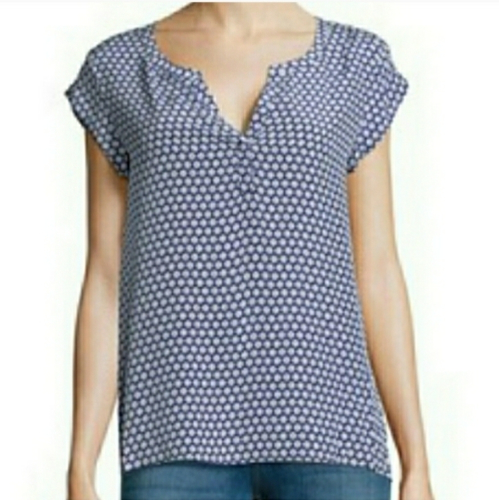 Joie Rubina 100% silk blue Cotati print v-neck top